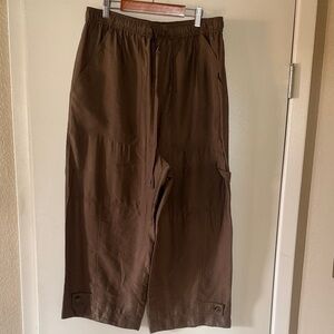 Zara Dark Brown Ankle-Length Pants